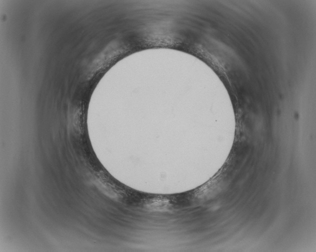 X0000086240162200703291404