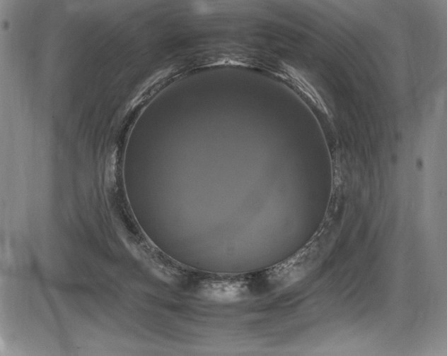 X0000086240163200703291404