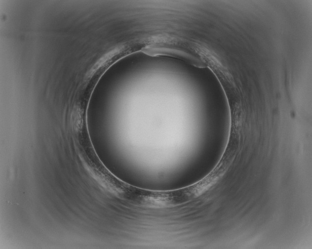X0000086240164200703291404