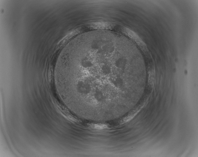 X0000086240165200703291404