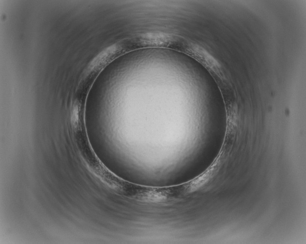 X0000086240166200703291404