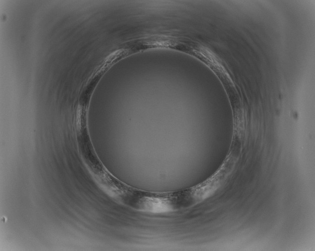 X0000086240167200703291404