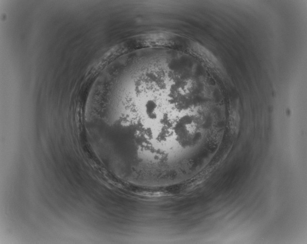 X0000086240169200703291404