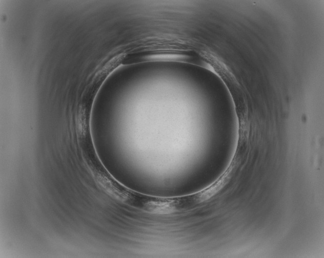 X0000086240170200703291404