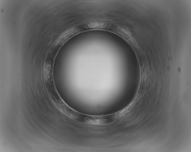 X0000086240171200703291404