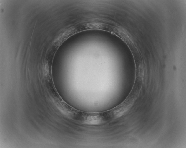 X0000086240173200703291404