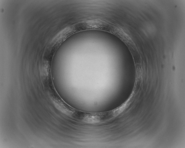 X0000086240174200703291404