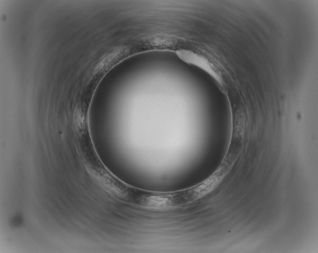 X0000086240176200703291405