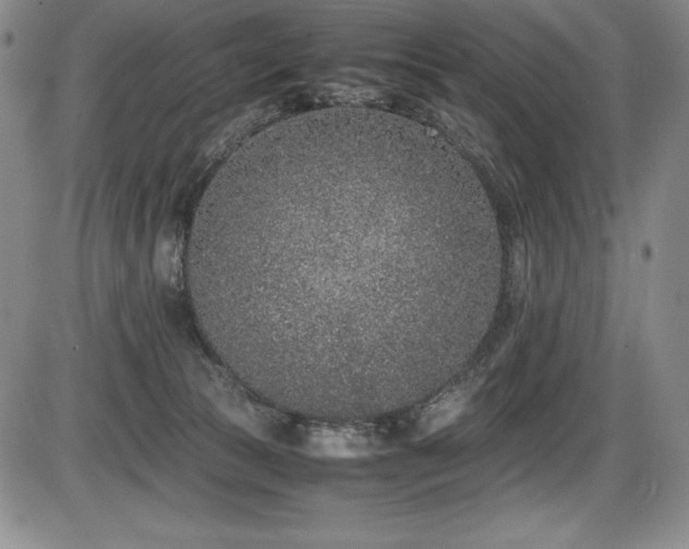 X0000086240177200703291405
