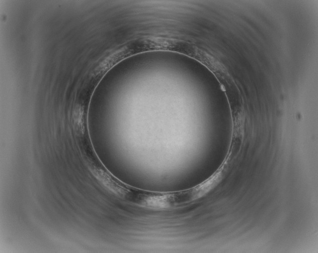 X0000086240178200703291405