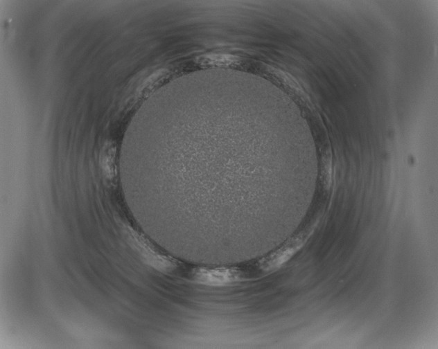 X0000086240181200703291405