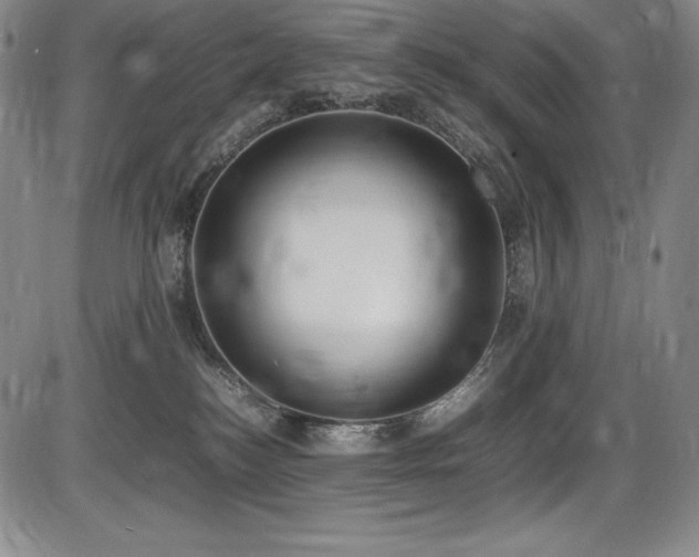X0000086240184200703291405