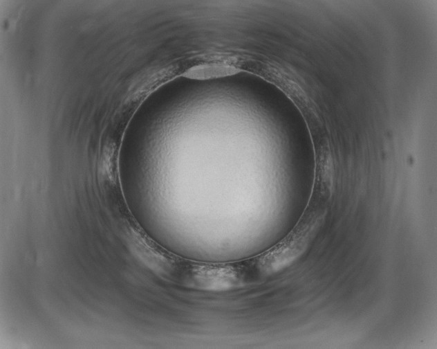 X0000086240185200703291405