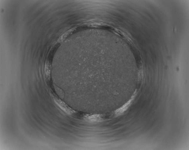 X0000086240186200703291405