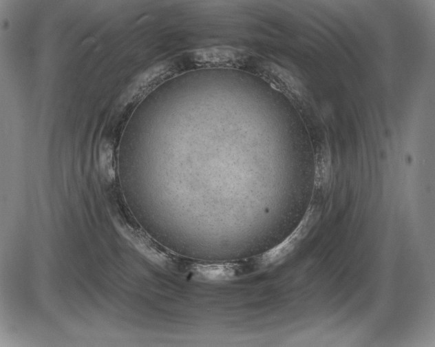 X0000086240187200703291405