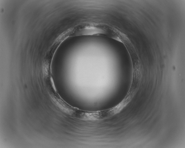 X0000086240188200703291405