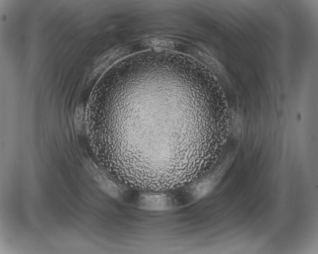 X0000086240189200703291405