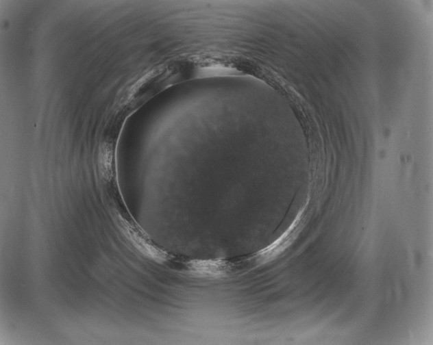 X0000086240192200703291405