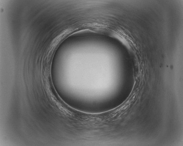 X0000086240193200703291404