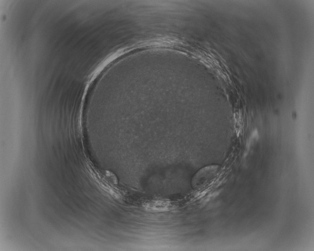 X0000086240196200703291404