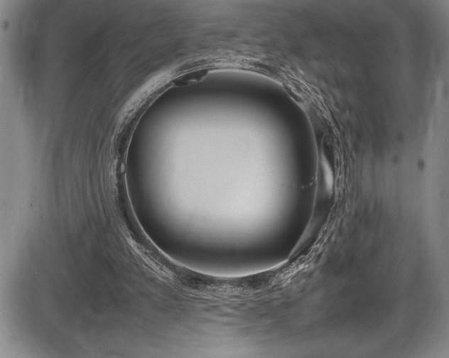 X0000086240197200703291404
