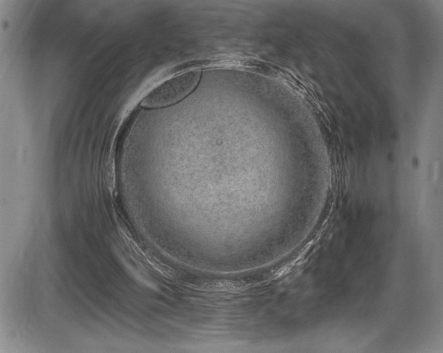 X0000086240198200703291404