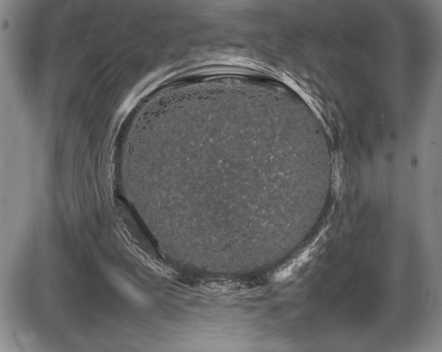 X0000086240199200703291404