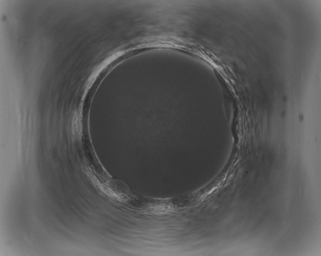 X0000086240200200703291404