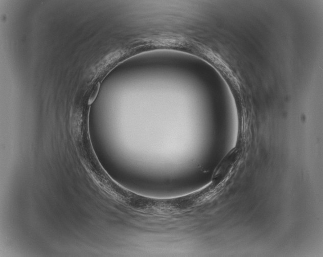X0000086240201200703291404