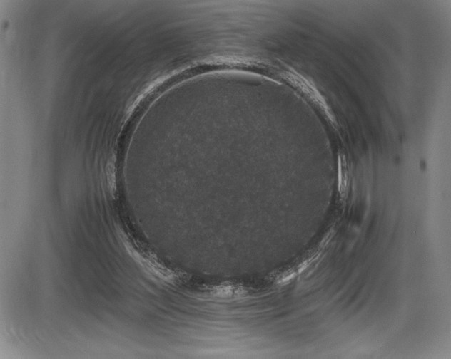 X0000086240204200703291404