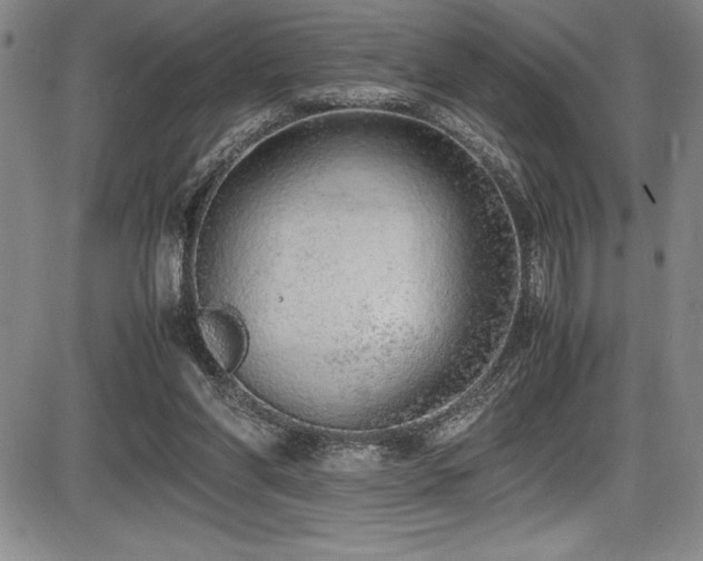 X0000086240206200703291404