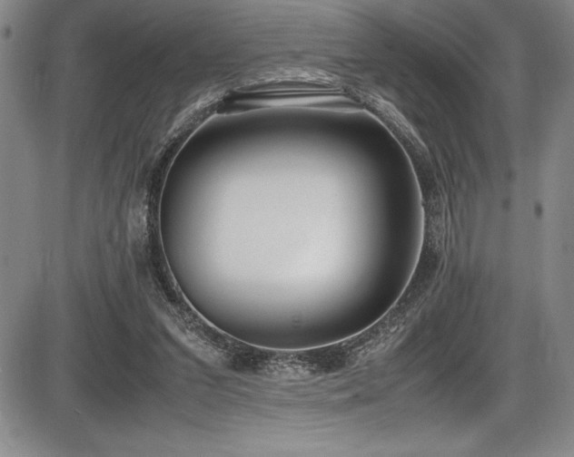 X0000086240207200703291404