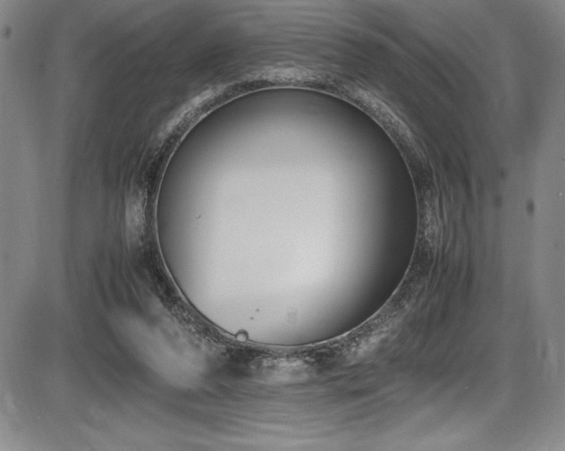 X0000086240208200703291404