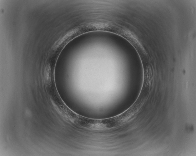 X0000086240212200703291404