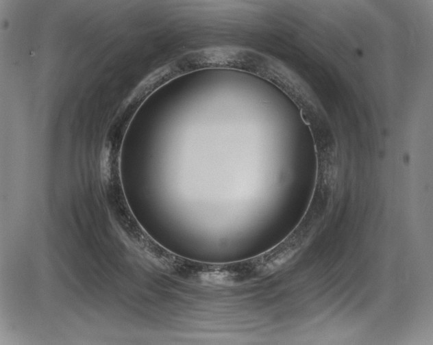 X0000086240216200703291404