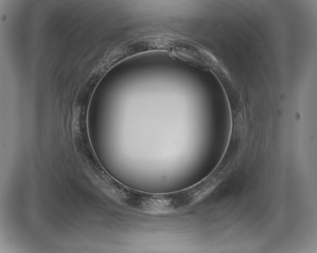 X0000086240217200703291404