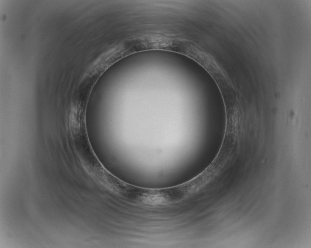 X0000086240218200703291404