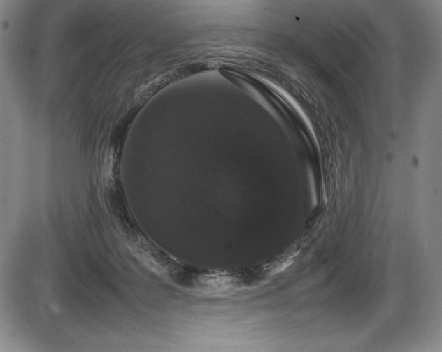 X0000086240219200703291404