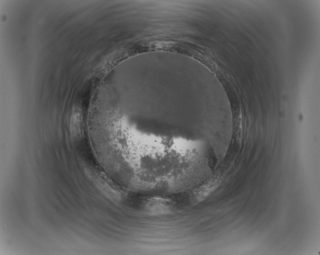 X0000086240222200703291404