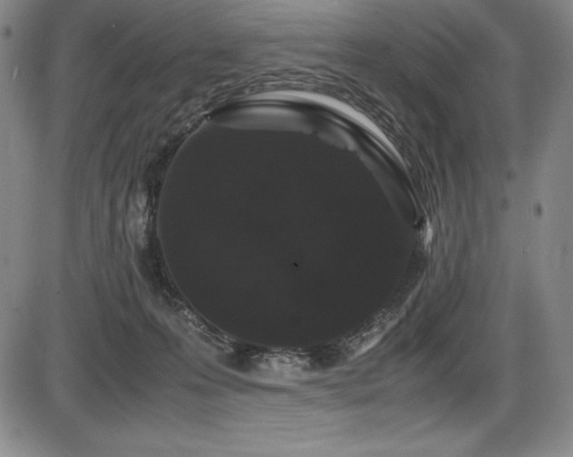 X0000086240223200703291403