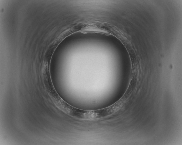 X0000086240225200703291403