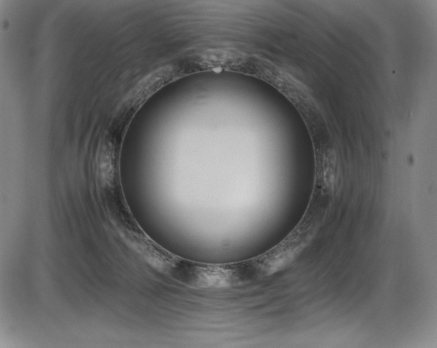 X0000086240226200703291403