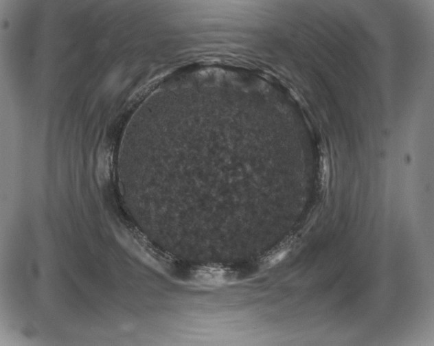 X0000086240227200703291403