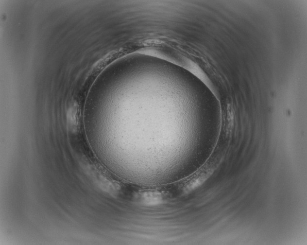 X0000086240228200703291403