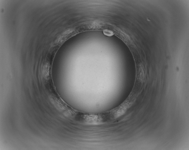 X0000086240230200703291403