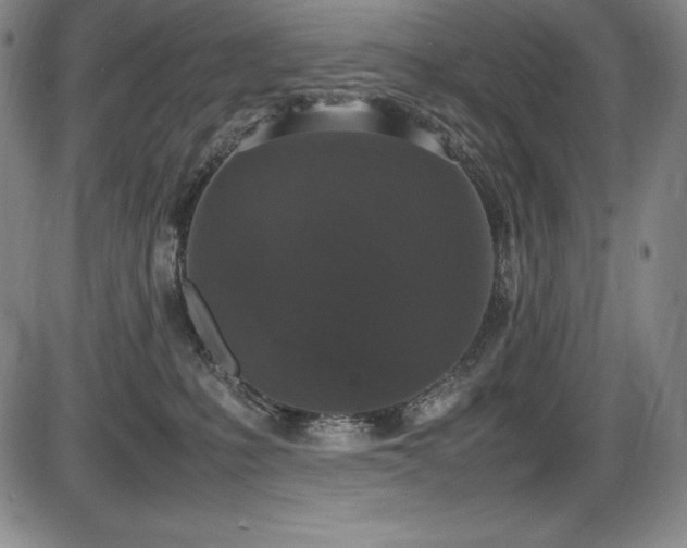 X0000086240231200703291403