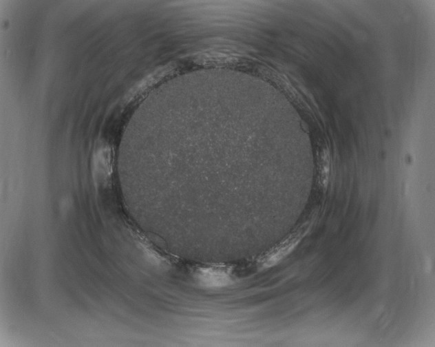 X0000086240232200703291403