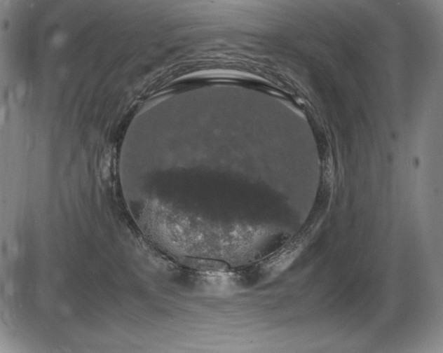 X0000086240233200703291403