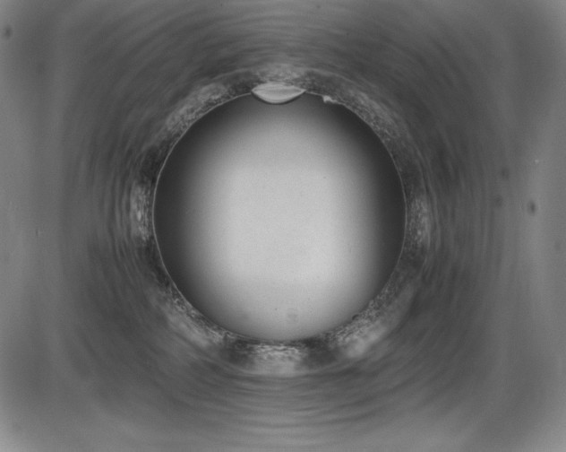 X0000086240234200703291403