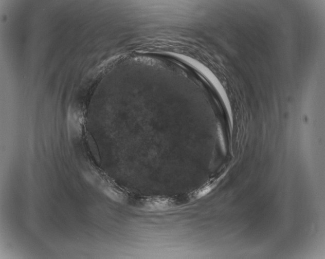X0000086240235200703291403